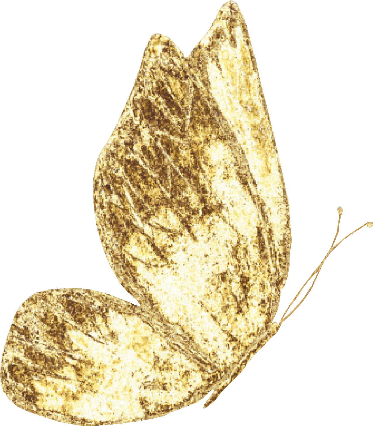 margiemariposa Margiestetic dorado